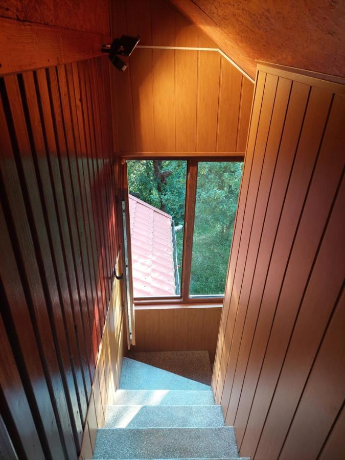 Cabana Cu Teren De Tenis -- Etaj Banita Exterior photo